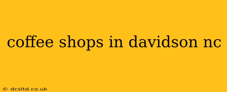 coffee shops in davidson nc