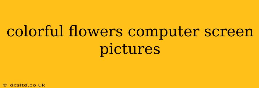colorful flowers computer screen pictures