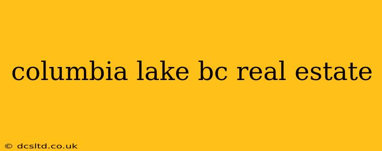 columbia lake bc real estate