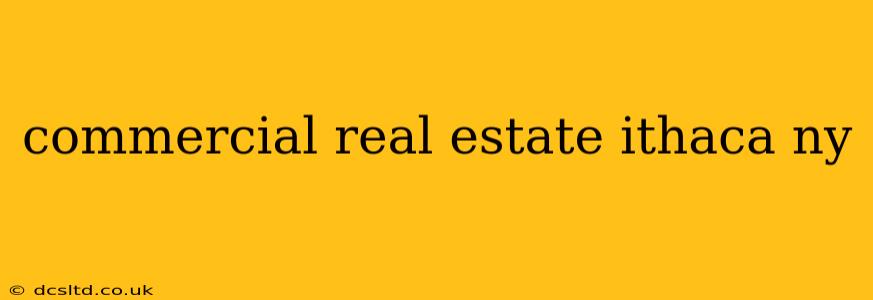 commercial real estate ithaca ny