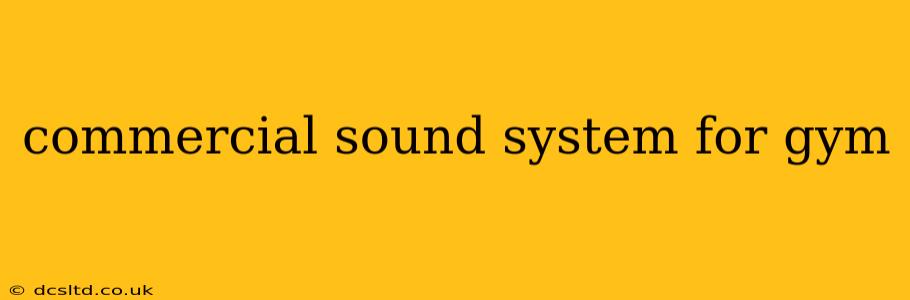 commercial sound system for gym