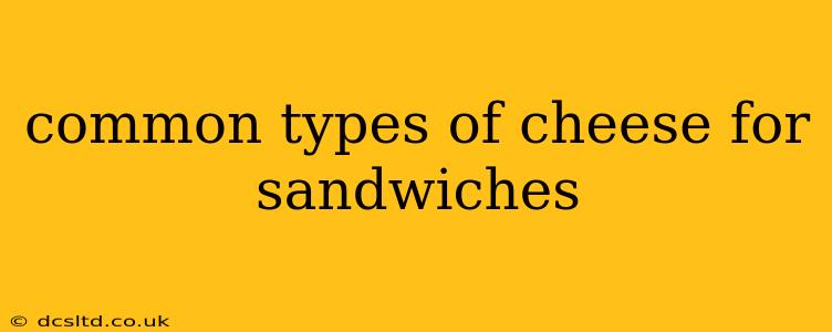 common types of cheese for sandwiches