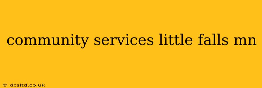 community services little falls mn