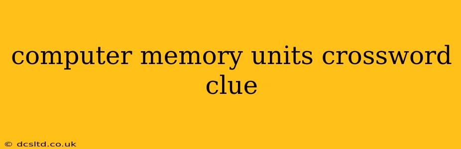 computer memory units crossword clue