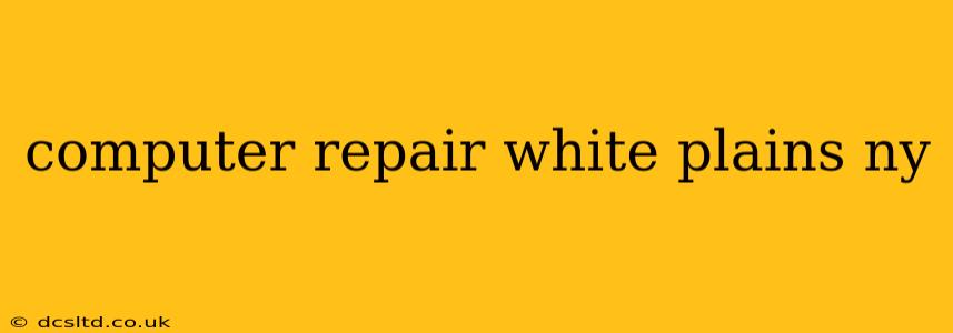 computer repair white plains ny