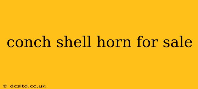 conch shell horn for sale