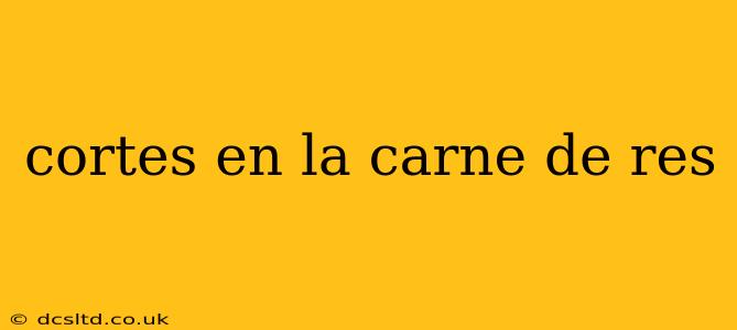 cortes en la carne de res