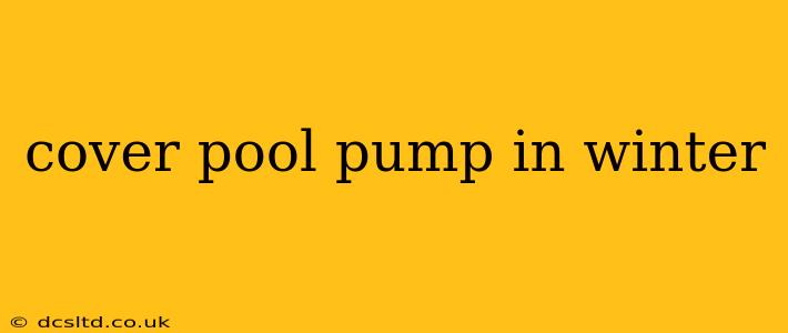 cover pool pump in winter