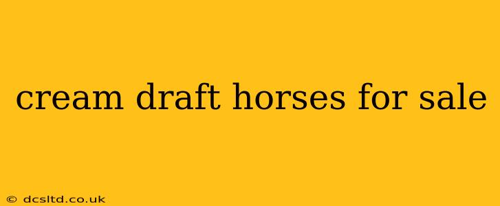 cream draft horses for sale