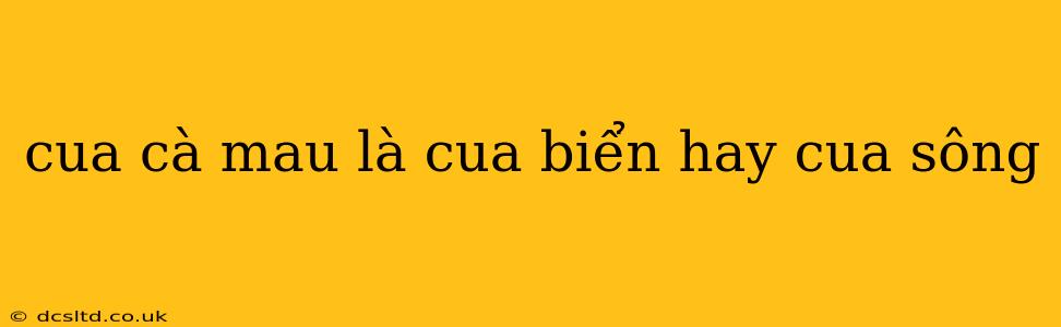 cua cà mau là cua biển hay cua sông