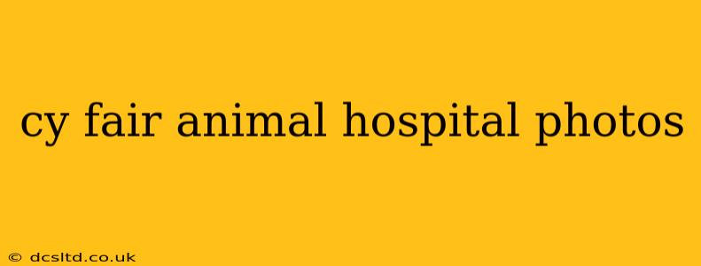 cy fair animal hospital photos