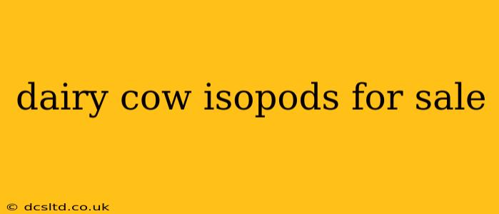 dairy cow isopods for sale
