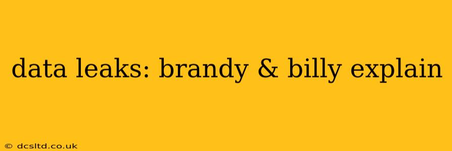 data leaks: brandy & billy explain