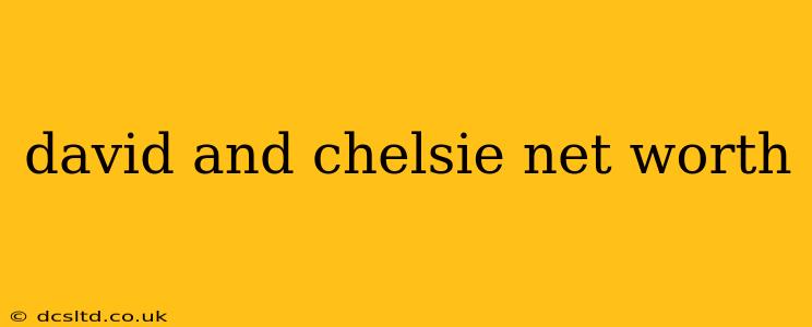 david and chelsie net worth