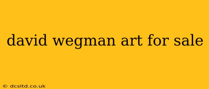 david wegman art for sale