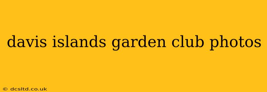 davis islands garden club photos