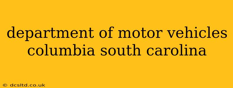 department of motor vehicles columbia south carolina