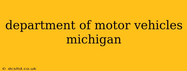 department of motor vehicles michigan