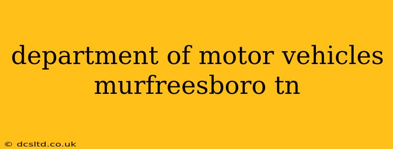 department of motor vehicles murfreesboro tn