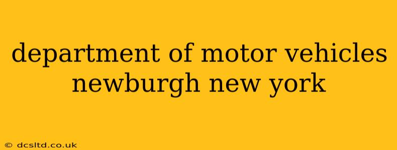 department of motor vehicles newburgh new york