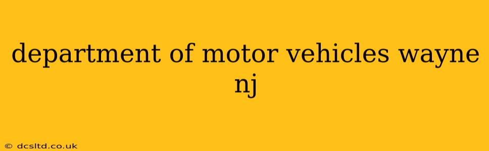 department of motor vehicles wayne nj