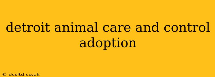 detroit animal care and control adoption