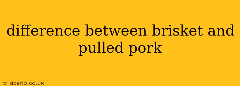 difference between brisket and pulled pork