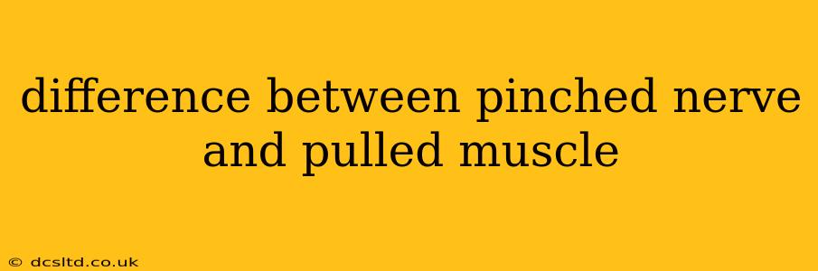 difference between pinched nerve and pulled muscle
