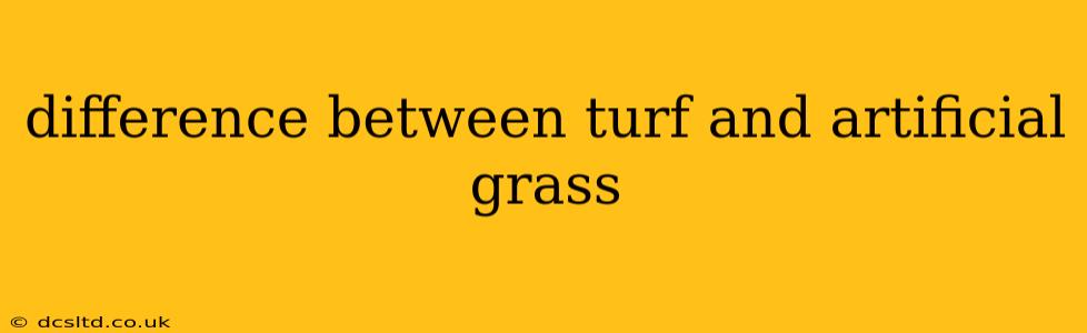 difference between turf and artificial grass