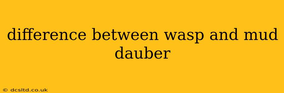 difference between wasp and mud dauber