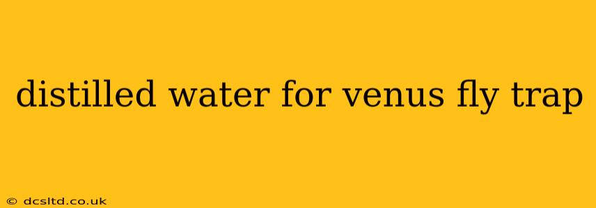 distilled water for venus fly trap