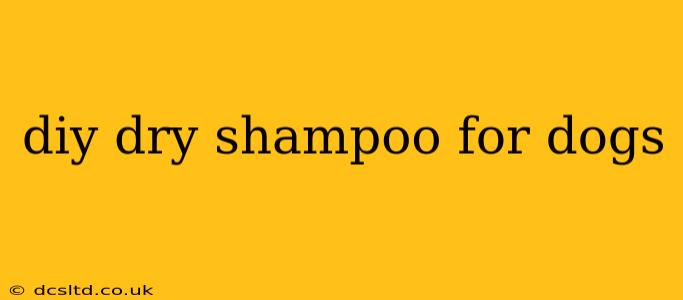 diy dry shampoo for dogs