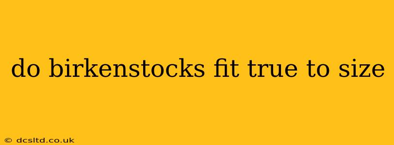 do birkenstocks fit true to size