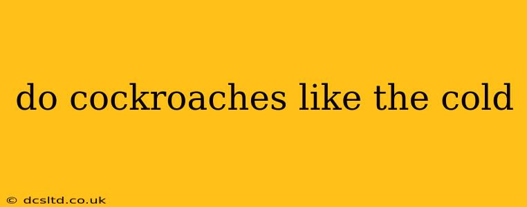 do cockroaches like the cold