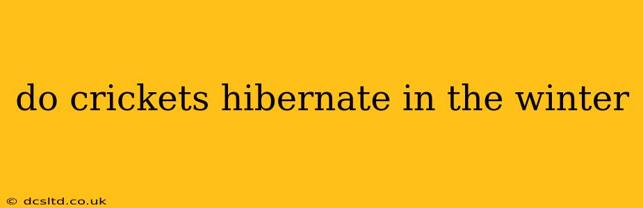 do crickets hibernate in the winter