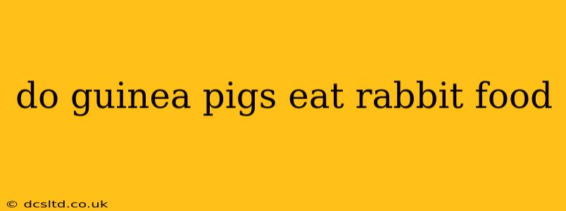 do guinea pigs eat rabbit food