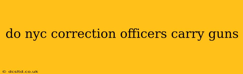 do nyc correction officers carry guns