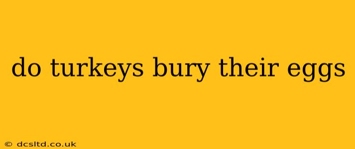 do turkeys bury their eggs