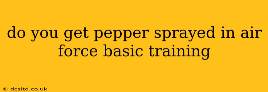 do you get pepper sprayed in air force basic training