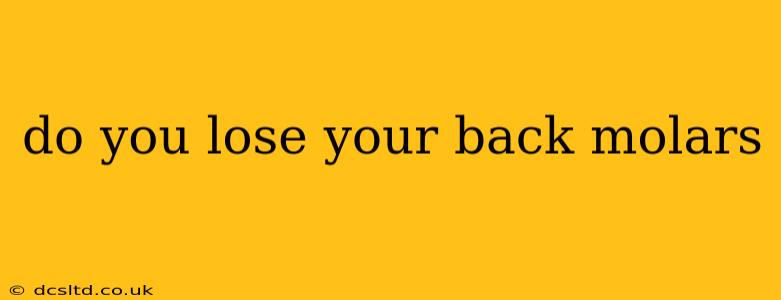 do you lose your back molars