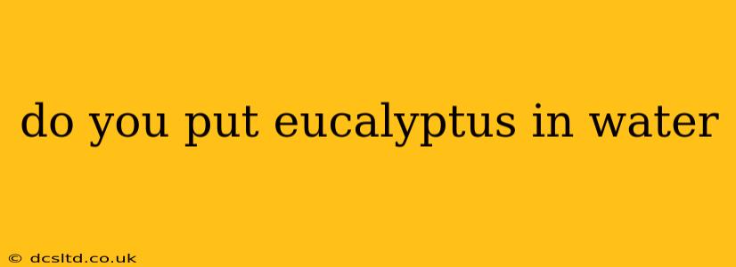 do you put eucalyptus in water