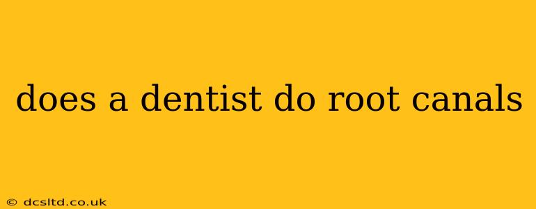 does a dentist do root canals