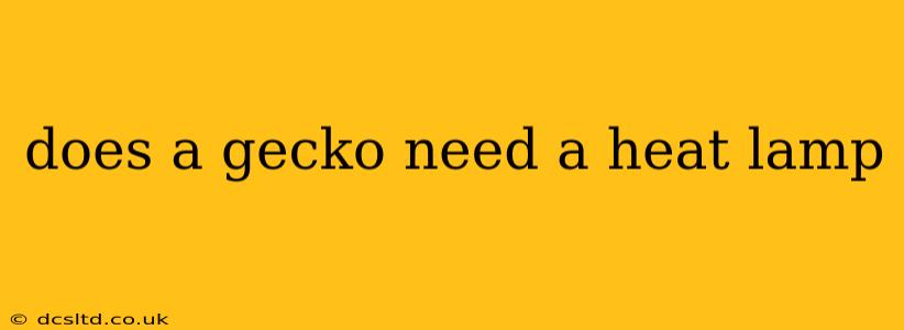 does a gecko need a heat lamp