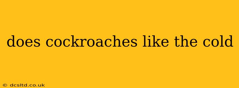 does cockroaches like the cold