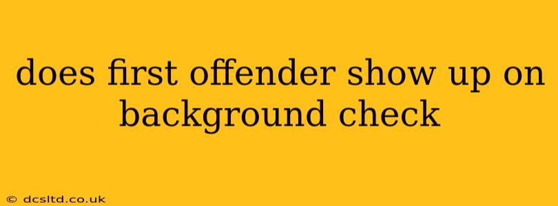 does first offender show up on background check