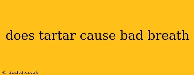 does tartar cause bad breath