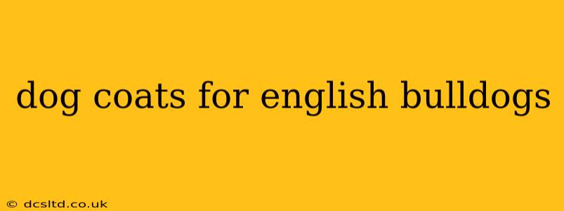 dog coats for english bulldogs
