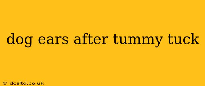 dog ears after tummy tuck