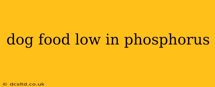dog food low in phosphorus