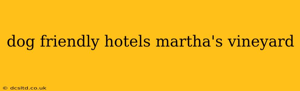 dog friendly hotels martha's vineyard